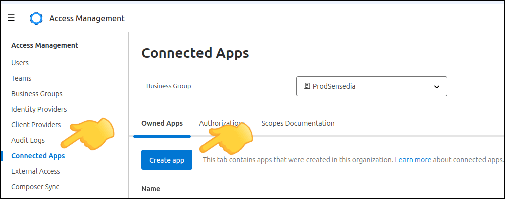 MuleSoft screen detail